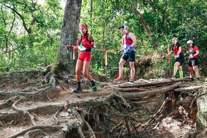 BIB: 
                            <button type="button" onclick="openModal(27718213)" class="btn btn-primary btn-sm float-right btn-popup" data-toggle="modal" data-target=".modal-high-quality">
                        <i class="fas fa-shopping-cart"></i> Add to Cart
                    </button>
                                            <button type="button" onclick="isThisMe(27718213, true)" class="btn btn-success btn-sm float-right btn-popup btn-isme hidden" data-toggle="tooltip" data-placement="bottom" title="นี่คือรูปของคุณใช่ไหม คลิกที่นี่เพื่อเอาเข้าอัลบั้ม">
                        <i class="fas fa-plus"></i> Add to album
                    </button>
                    <button type="button" onclick="isThisMe(27718213, false)" class="btn btn-warning btn-sm float-right btn-popup btn-isnotme hidden">
                        <i class="fas fa-ban"></i> Remove from album
                    </button>